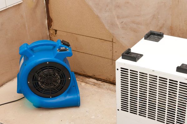 Affordable mold removal services in Dallas, TX