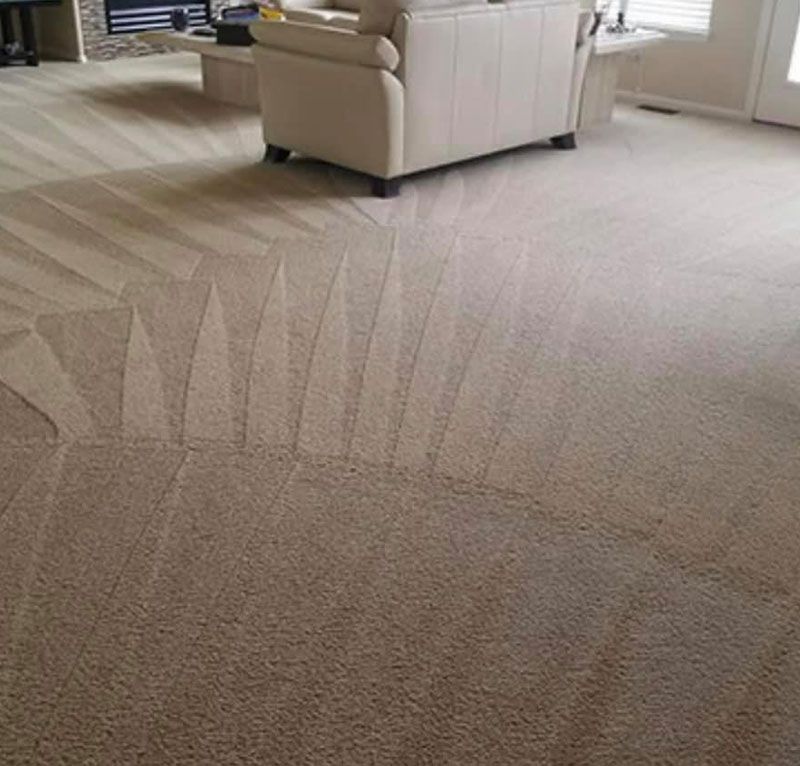 Affordable carpet cleaning in Haslet