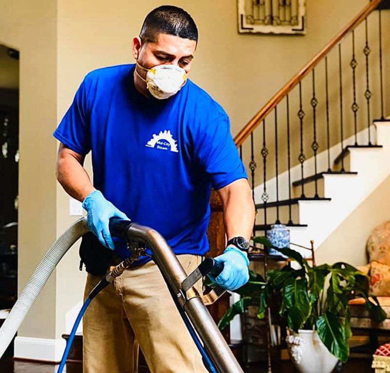 Carpet Cleaning by Midcity Steam