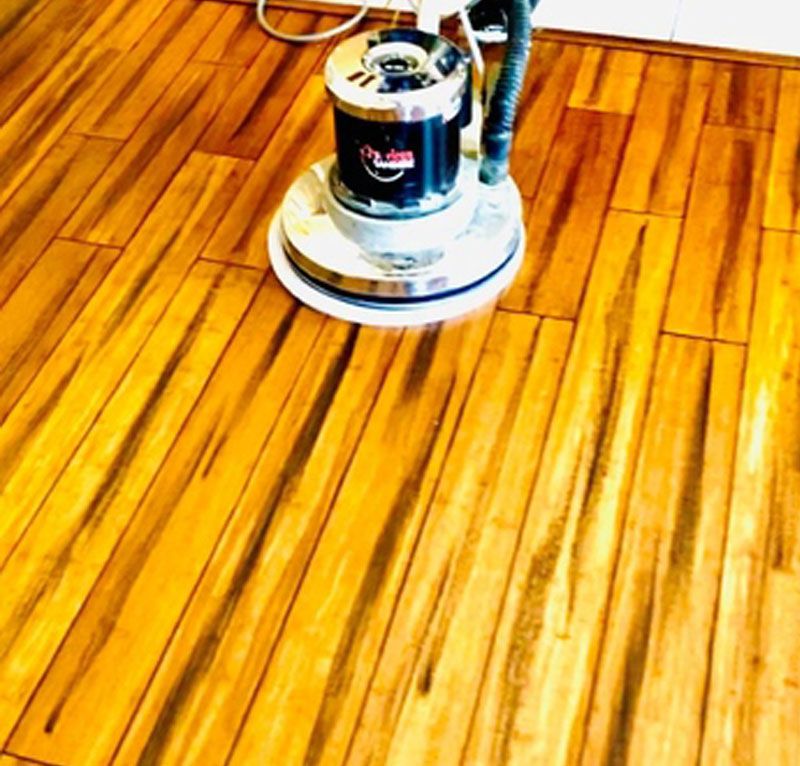 Carpet Cleaning by Midcity Steam